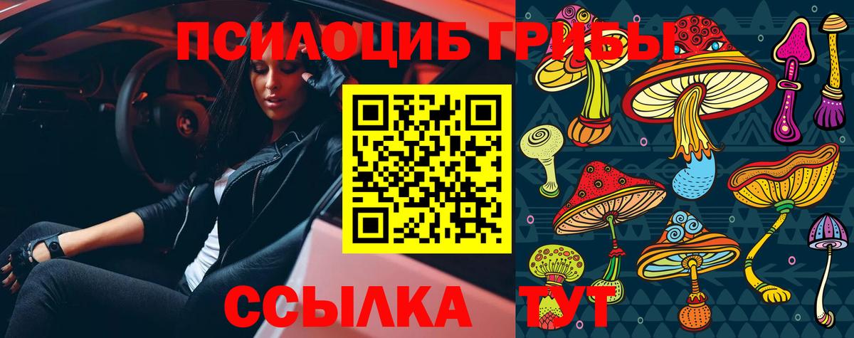 Галлюциногенные грибы GOLDEN TEACHER Кисловодск