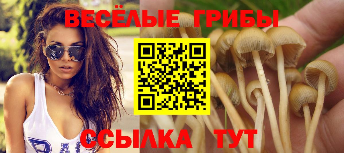 Псилоцибиновые грибы GOLDEN TEACHER  Псилоцибиновые грибы Psilocybe  Кисловодск  Вход с VPN 